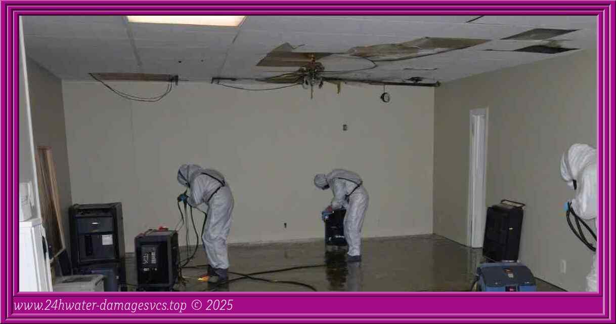 Mold Inspection and Treatment Tips for Effective Flood Damage Repair - 24 Hour Flooding Damage Restoration Services